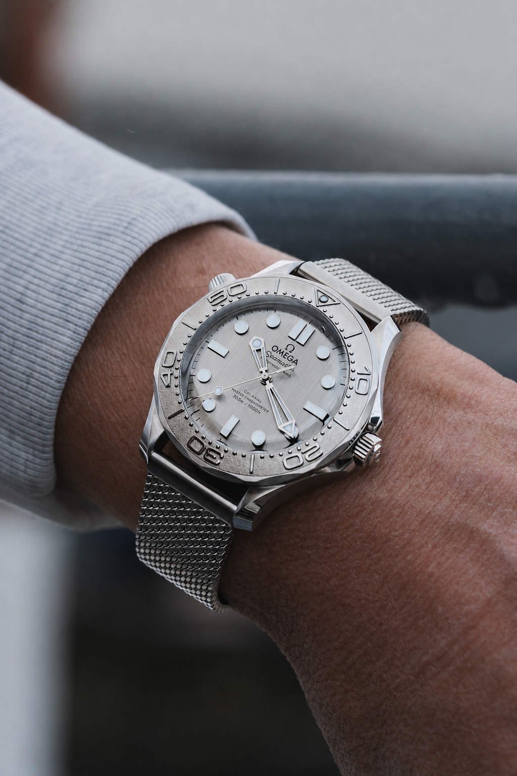 Relógio Seamaster Diver 300M 42mm Silver